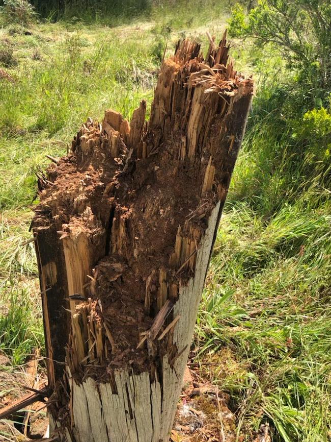 The Pomborneit power pole that collapsed during last Friday’s storm.