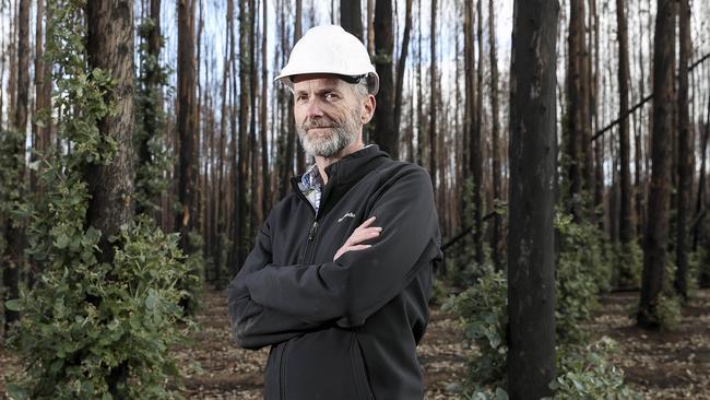 Kangaroo Island Plantation Timbers managing director Keith Lamb. Picture - SARAH REED