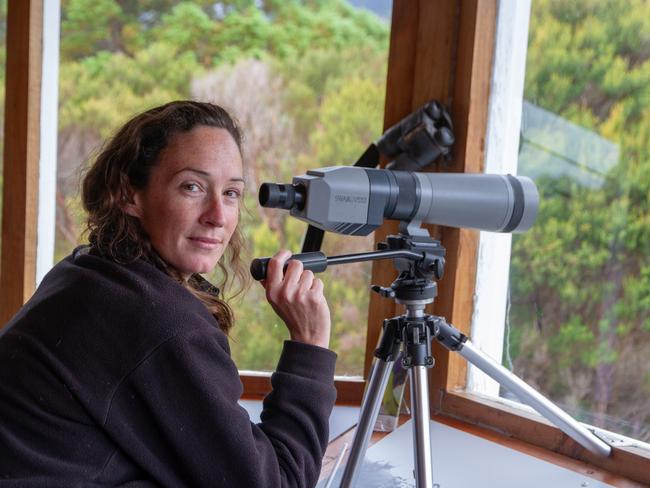 Dr Shannon Troy monitoring orange-bellied parrots at Melaleuca. Picture: DPIPWE