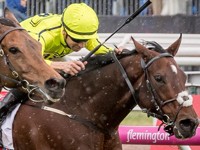 João Moreira on Almandine at the Melbourne Cup. Picture: Jake Nowakowski