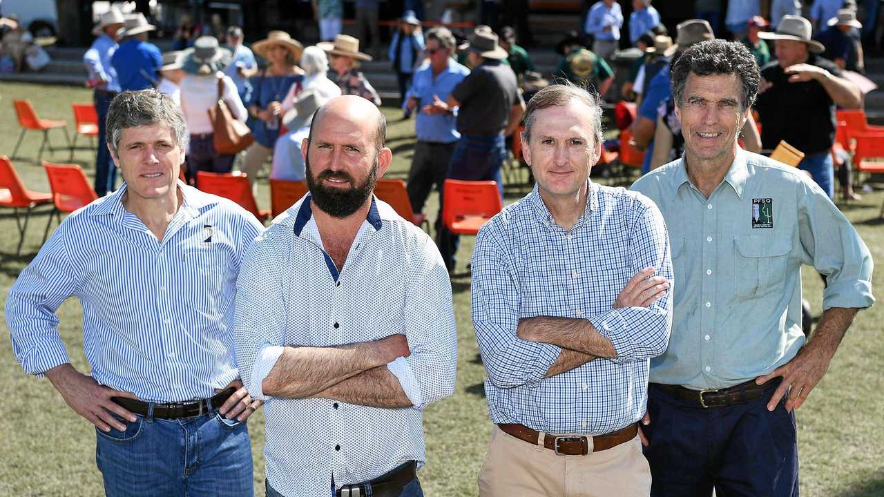 STANDING FIRM: CEO of AgForce QLD Michael Guerin, Slacks Hardwood director Sam Slack, CEO of Timber QLD Mick Stephens and CEO of Private Forestry QLD Sean Ryan. Picture: Cody Fox