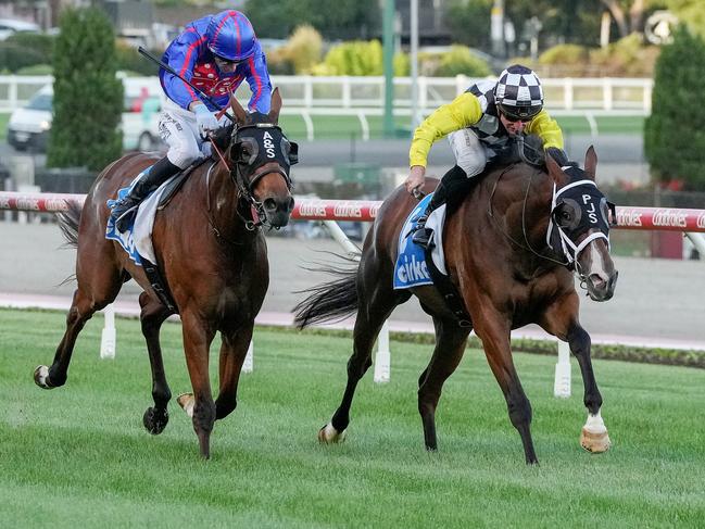 Lavish Thinker ridden by Daniel Stackhouse wins the Aged Care @ Cirka Handicap at Moonee Valley Racecourse on December 13, 2024 in Moonee Ponds, Australia. (Photo by George Sal/Racing Photos via Getty Images)