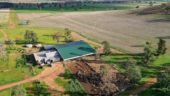 The Bunn family have owned its Eurongilly Valley property for the past 30 years.