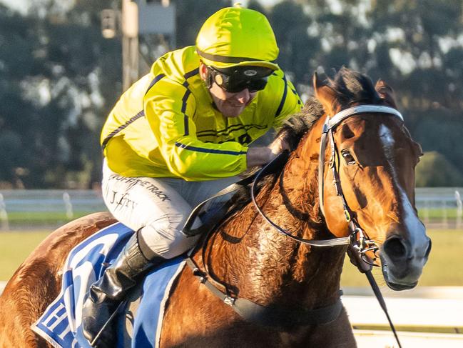 Samurai Star ridden by Jarrod Fry wins the Northern Hire Group Handicap at Echuca Racecourse on August 11, 2024 in Echuca, Australia. (Photo by Jay Town/Racing Photos)