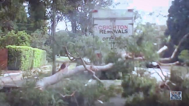 No chainsaw required. Picture: Dash Cam Owners Australia