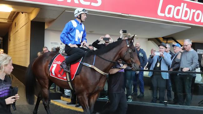 Winx hits The Valley before the Cox Plate barrier draw. Picture: Alex Coppel