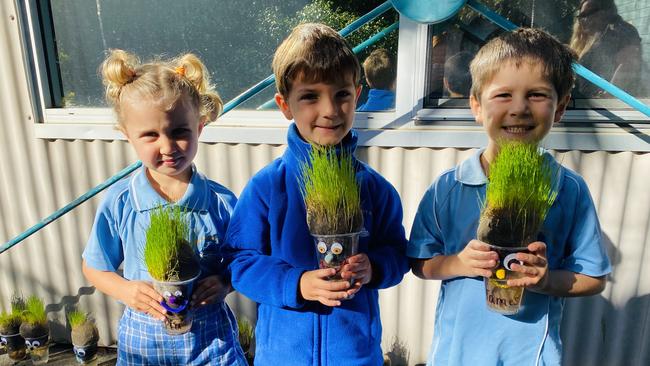 Yamba Public School Kindergarten growing their 'Grass Heads'