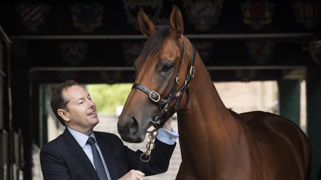 Tabcorp chief executive Adam Rytenskild with bay filly "Dorothy of Oz". Picture: Chris Pavlich