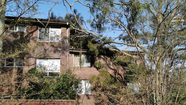 Part of a tree lands on a roof of a unit block at Railway St, Granville.