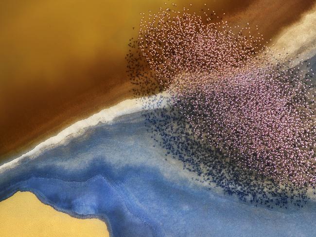 National Geographic Nature Photographer of the Year contest.The picture was taken from a helicopter over lake natron. A flock of flamingos were flying over the lake.
