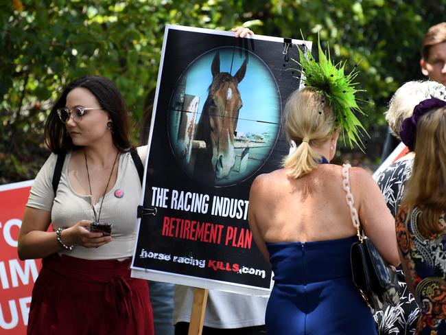 A racegoer walks past animal welfare activists as they protest outside the Eagle Farm racecourse. Picture: AAP/Dan Peled