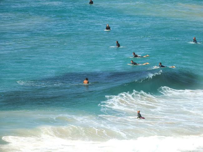 Surfers take no notice to large bait balls while surfing at Duranbah Beach. Photo: Scott Powick News Corp