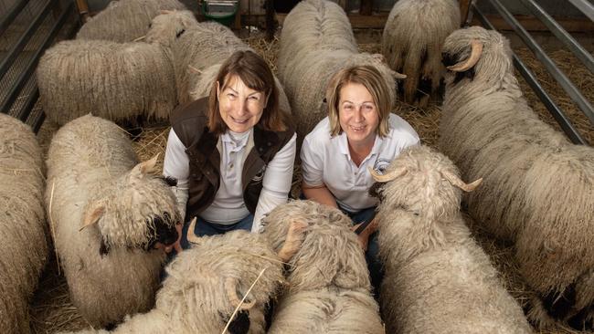 Diane Kilduff and Jane Lauber with their Valais Blacknose sheep at Yarrambat. Picture: Zoe Phillips