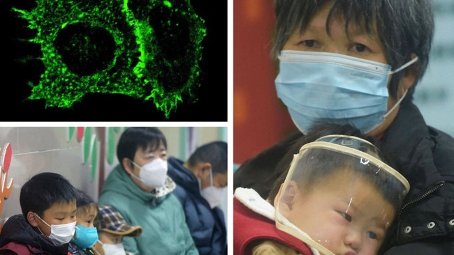 A worrying new respiratory virus is reportedly overwhelming hospitals in China. But some experts say there’s an even bigger problem staring at us down the barrel.