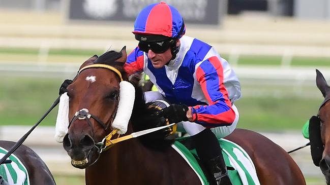 Glen Boss missed the winning ride on Soxagon after falling off Morton’s Fork in the Shoot Out Quality at Eagle Farm. Picture: Trackside Photography