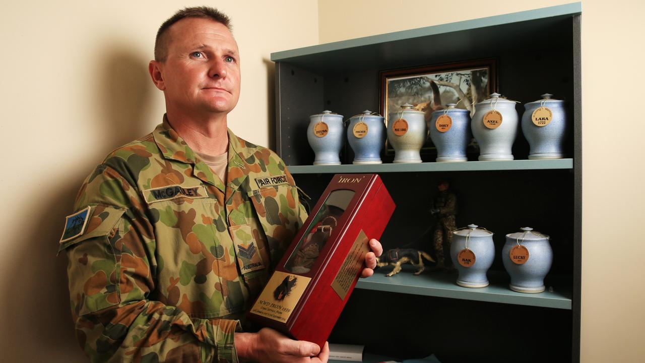 RAAF working dogs