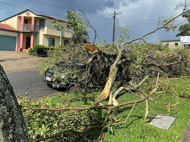 A car was damaged by fallen tree branches at Osterley Rd, Carina Heights. Picture: via Higgins Storm Chasers