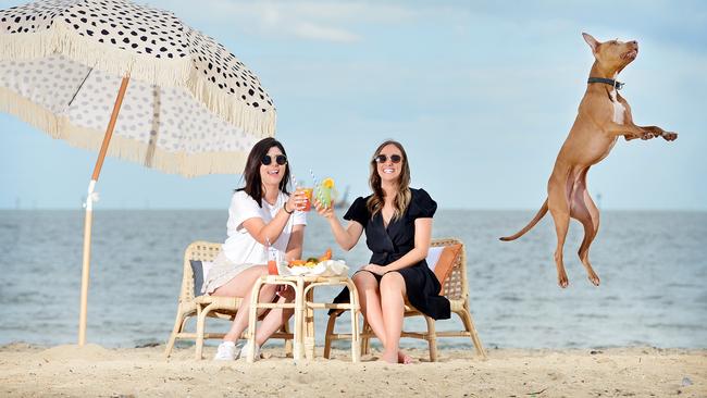 Josie Sanelli and Pippa Finks enjoying drinks with Cooper the Staffy X at The Exchange Hotel pop up. Picture: Nicki Connolly