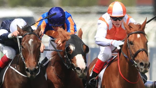 Danny O’Brien and part-owner Geoff Corrigan have ambitious plans for Vow And Declare. Picture: Getty Images