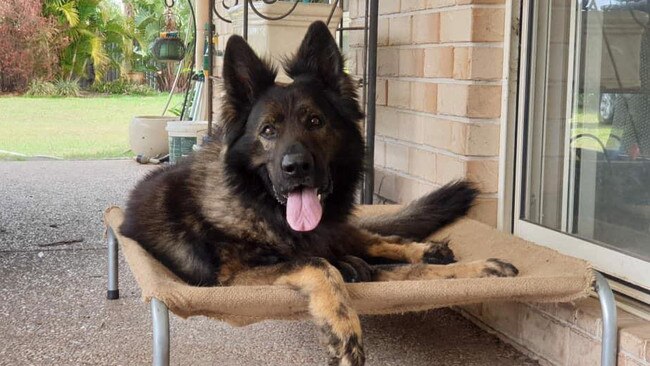 Police have been left saddened by the passing of former Police Dog DJ on June 8.