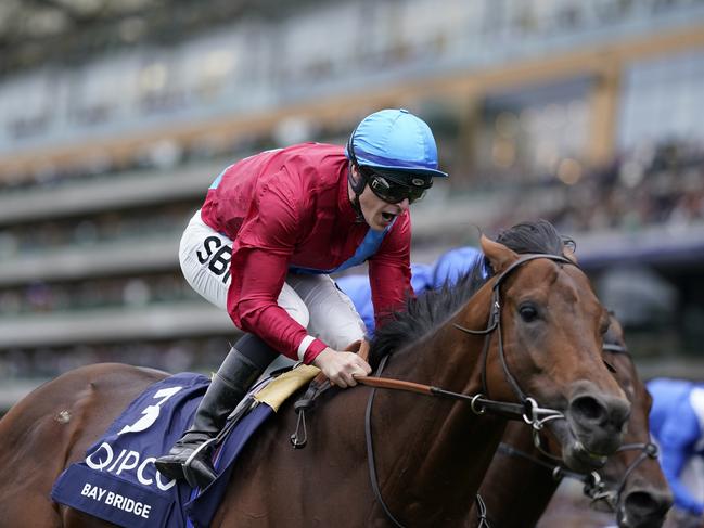 ASCOT, ENGLAND - OCTOBER 15: Richard Kingscote shouts as he rides Bay Bridge to win The Qipco Champion Stakes at Ascot Racecourse on October 15, 2022 in Ascot, England. (Photo by Alan Crowhurst/Getty Images)