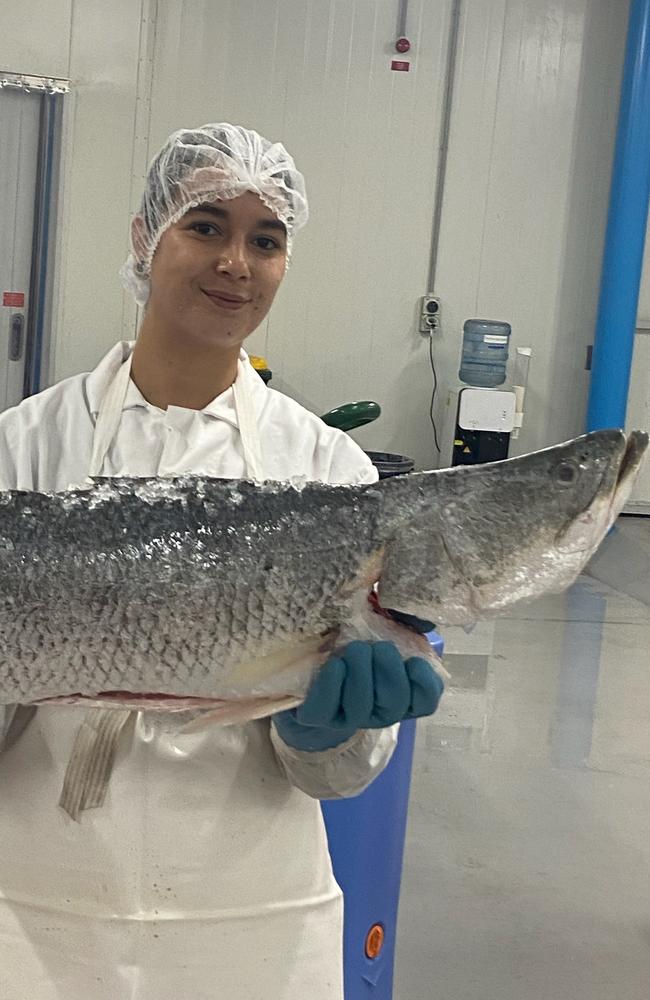 Wild Barra Fisheries opens NT’s first seafood processing plant | NT News