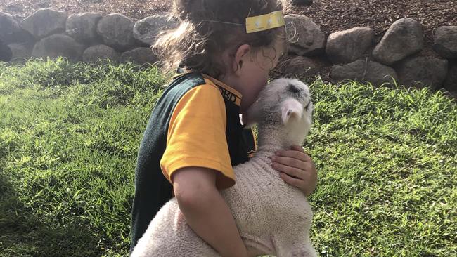 A Samford mum is scared to let her children walk outside their house after they woke to find their one-week-old baby lamb grotesquely ripped apart. Picture: Facebook