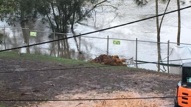 Lower part of Carinya Rd flooded on Monday.