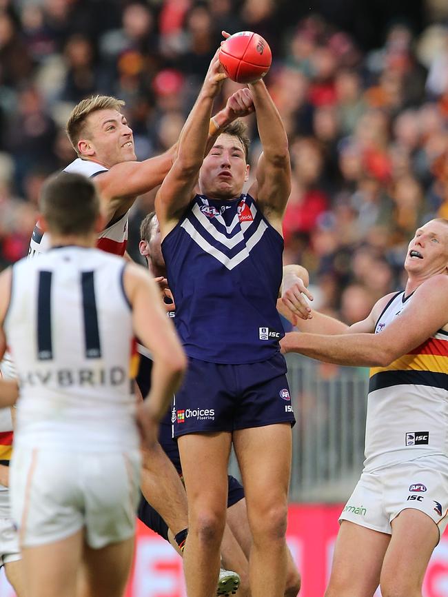 Brennan Cox marks for the Dockers. Picture: Paul Kane/Getty Images