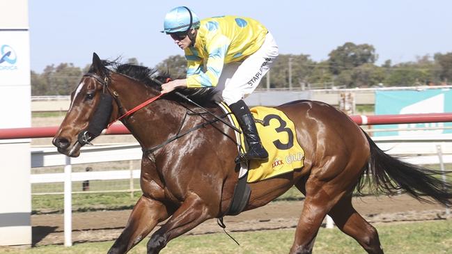 Trainer Scott Singleton feels Outishka can measure up to a TAB Highway in Sydney. Picture: Bradley Photos