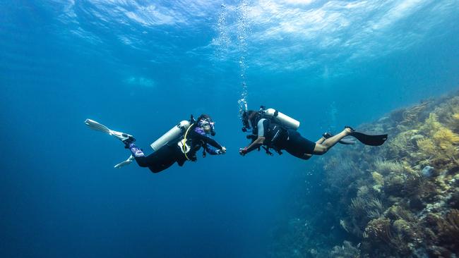 Dive buddies in Fiji.