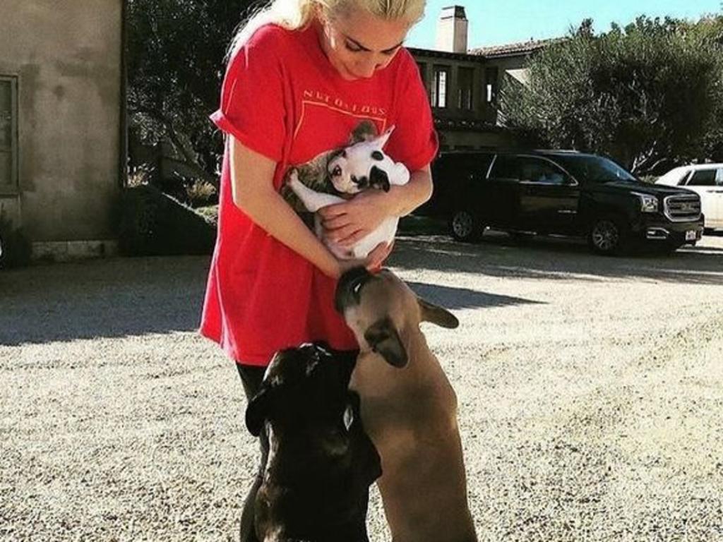 Lady Gaga with her beloved French Bulldogs Koji, Miss Asia and Gustavo.