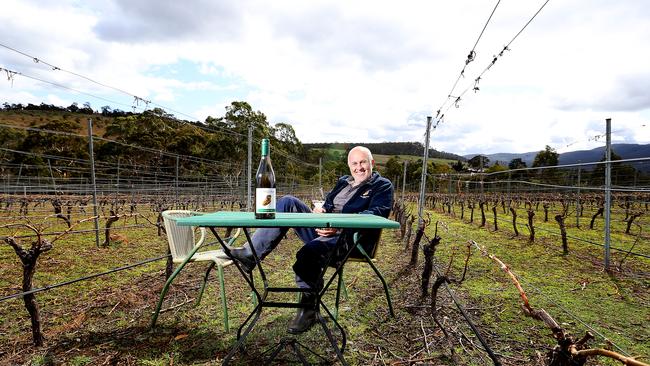 Rebooting Wobbly Boot Vineyard in the Coal River Valley, owner Paul Williams amongst the vines. pic Sam Rosewarne