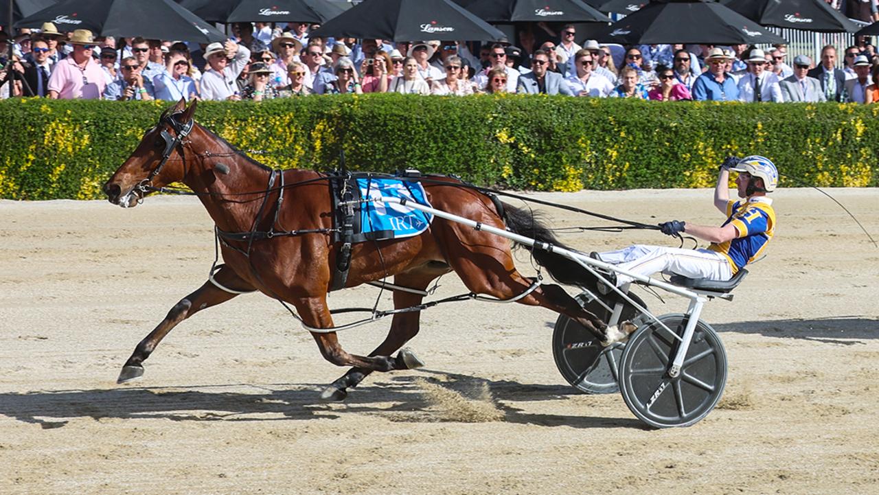 Swayzee dominates his rivals to win the NZ Cup last November. Picture: HRNZ