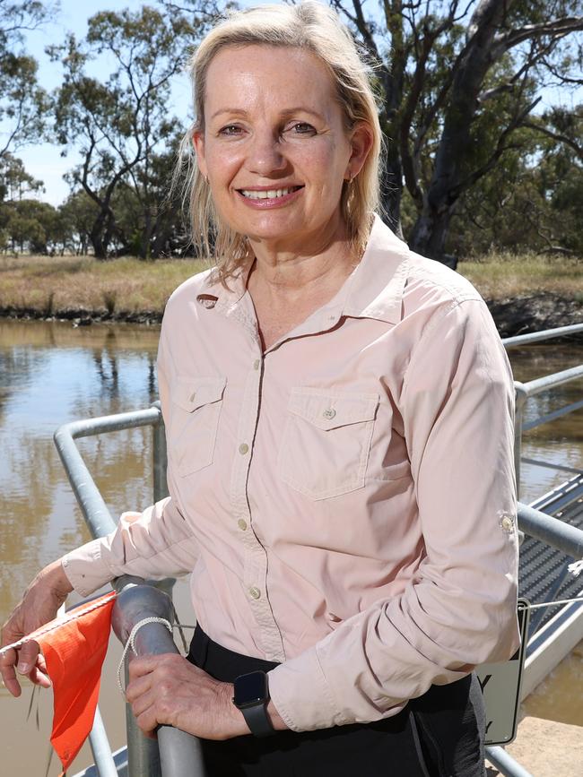 Sussan Ley’s preselection is uncertain. Picture: Richard Dobbins