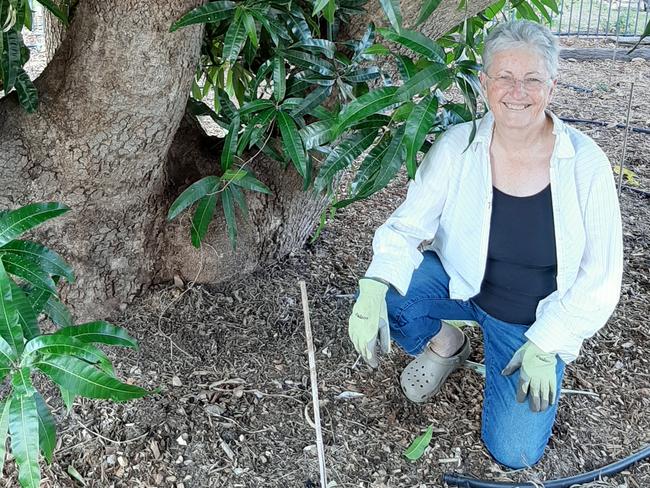 Taking care of trees proves fruitful for Bundy gardener