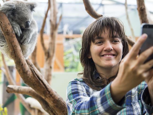 With her animal spirit ... Courney Barnett takes a selfie with a koala at Taronga Zoo, Sydney. Picture: Pat Stevenson