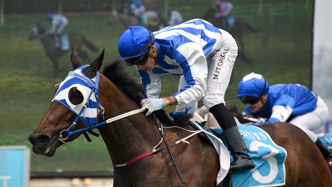 Magic Desert Moon ridden by Jag Guthmann-Chester at the Gold Coast Turf Club. (Photo/Steve Holland)