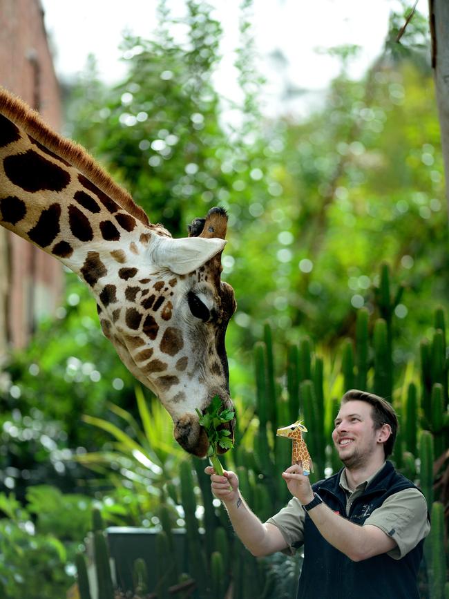 Dharba checking out a Zoo Crew character at Adelaide Zoo. Picture: Mark Brake