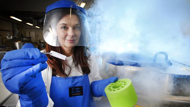 Immunologist Professor Katherine Kedzierska holds a frozen blood sample used to find the breakthrough. Picture: David Caird