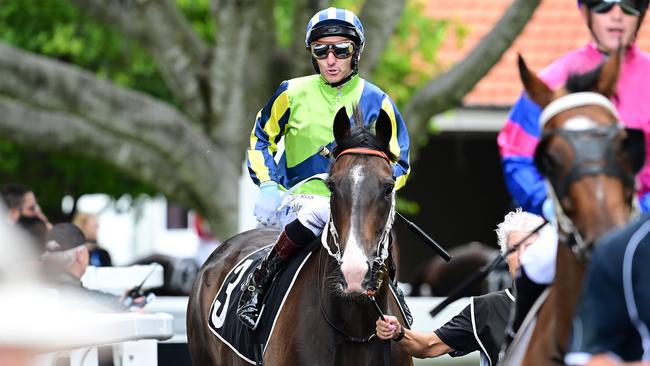 Jockey Andrew Mallyon had a big day out at Eagle Farm, riding multiple winners including Age Of Sail (pictured). Picture: Grant Peters, Trackside Photography