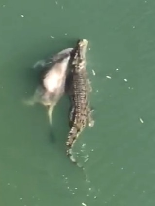 <span capiid="9010e06f96360f80a9804e65c27835c4" class="captionCapiVideo">A 4m croc filmed swimming near Katherine with a cow in its mouth.</span>