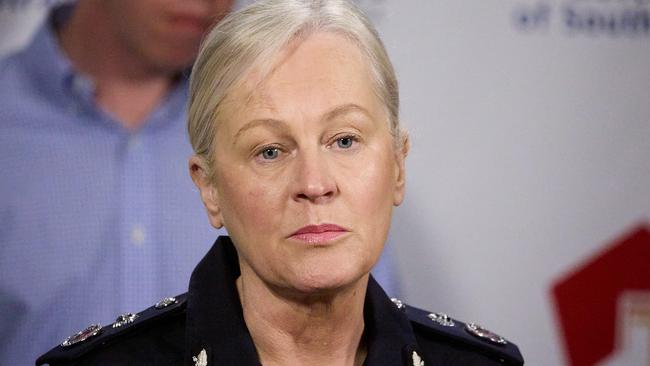 Police Deputy Commissioner, Linda Williams said shop theft “is one of the areas of concern for police and has been for quite sometime”. Picture: Matt Loxton