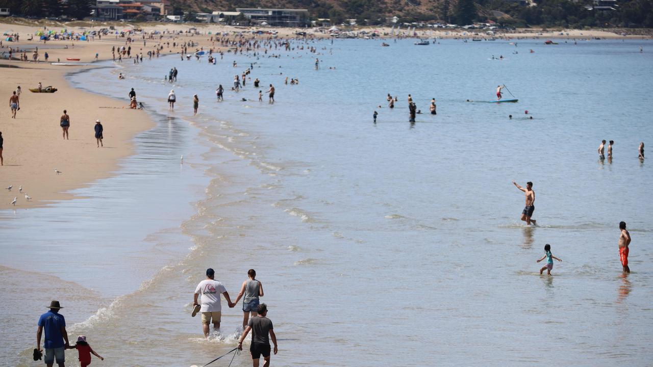 View along Brighton Beach from the jetty, from which a 3m shark was spotted just 10 metres away. Picture: Russell Millard