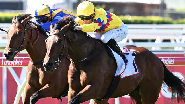 Freedom Rally kicks off his campaign in Sydney on Saturday. Pictures: Grant Peters /Trackside Photography.