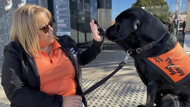 Ciara Knox and Dimitri high five at Taree Court House. Picture: Janine Watson.