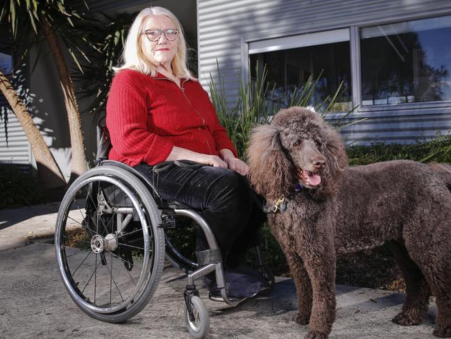 Former dog trainer Jan Randles with Lola - she says most dog attacks are the fault of humans, not dogs. Picture: Wayne Taylor