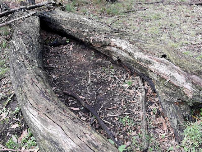 The site where Karen Ristevski's body was found at Mount Macedon. Picture: Nicole Garmston