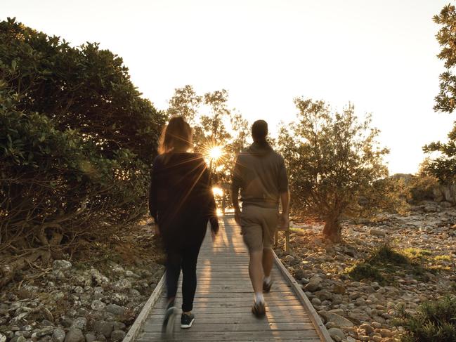 Mimosa Rocks National Park. Picture: Destination NSW