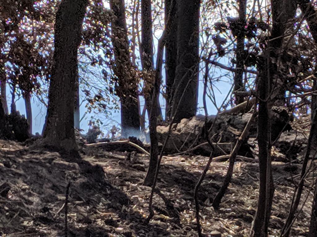 Smoke rises from vegetation still smouldering in the area. Picture: Luke Mortimer.